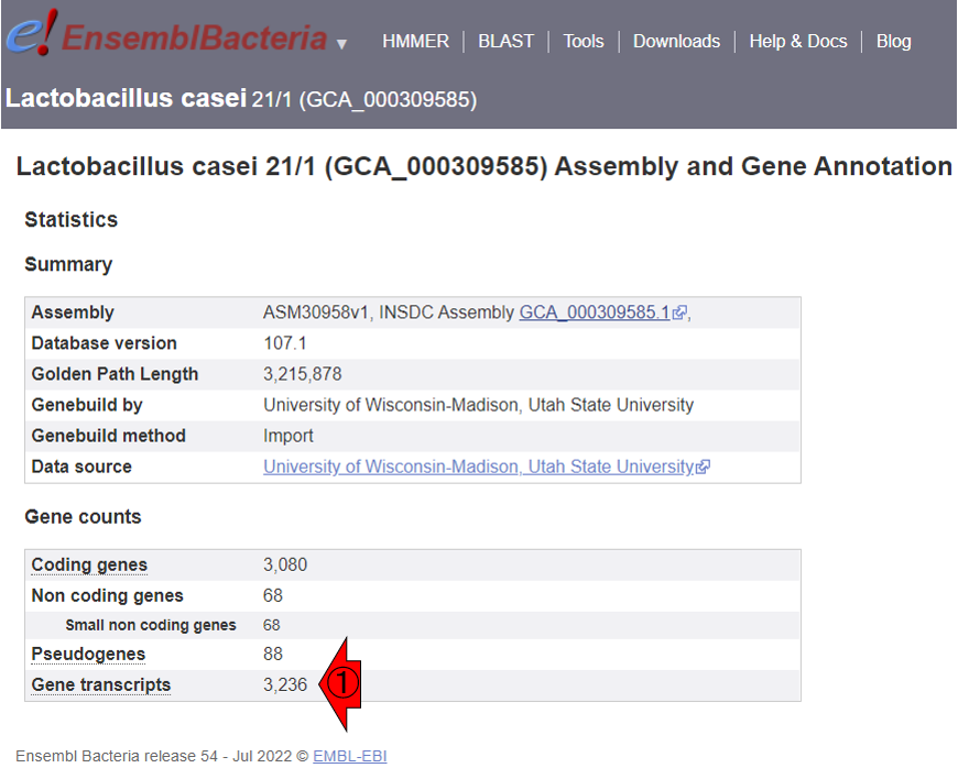 ?Lactobacillus casei 21/1の基本情報2